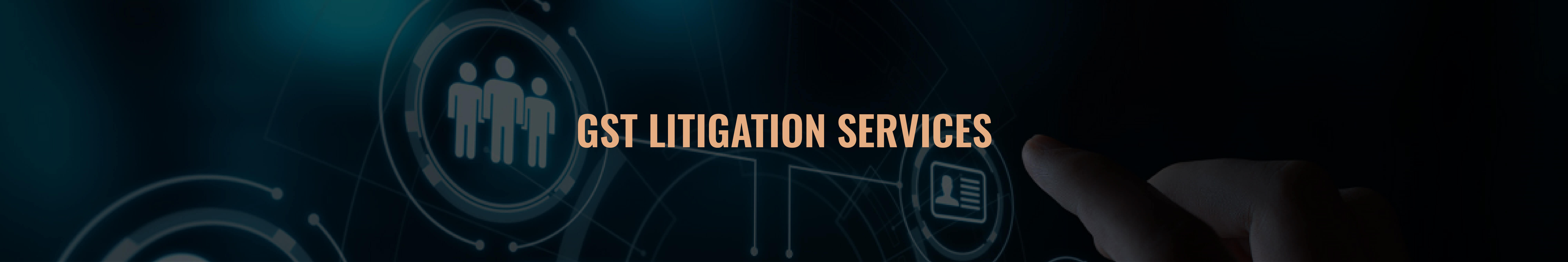 Litigation Services